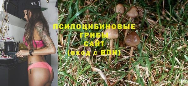 спиды Ростов